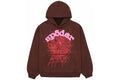Sweat à capuche Web Sp5der Brun/Gris ardoise S